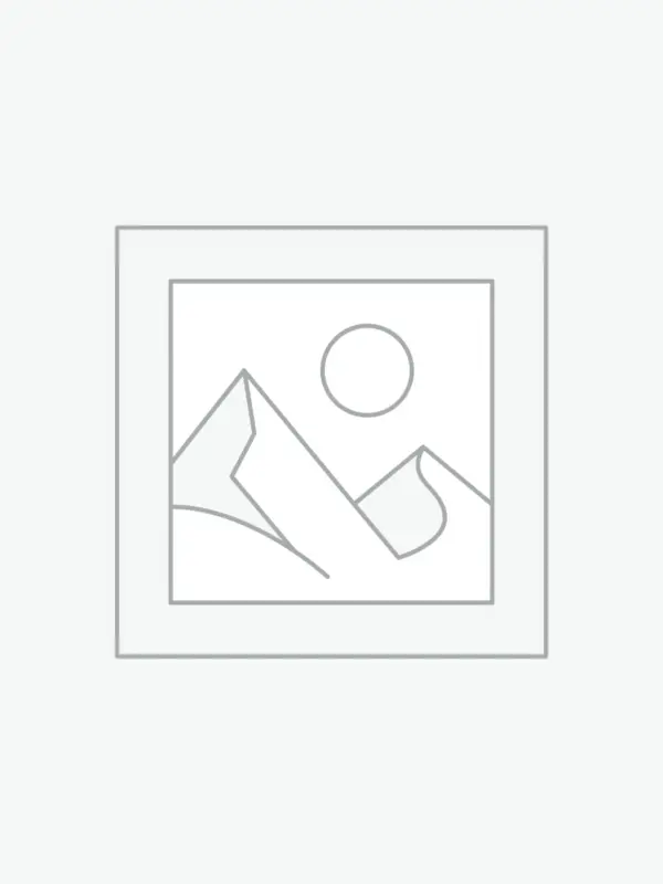 Uncategorized